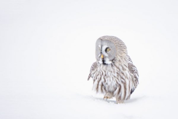 Maggie Bullock - Overall Winner