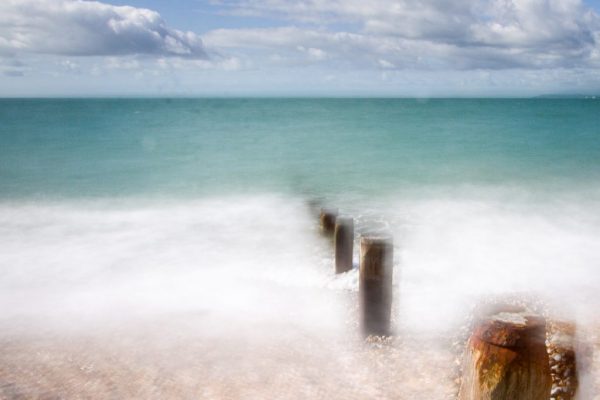 Andrew Williams - Commended