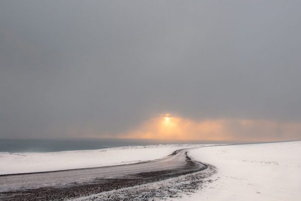 Nicky Higgens - Winner