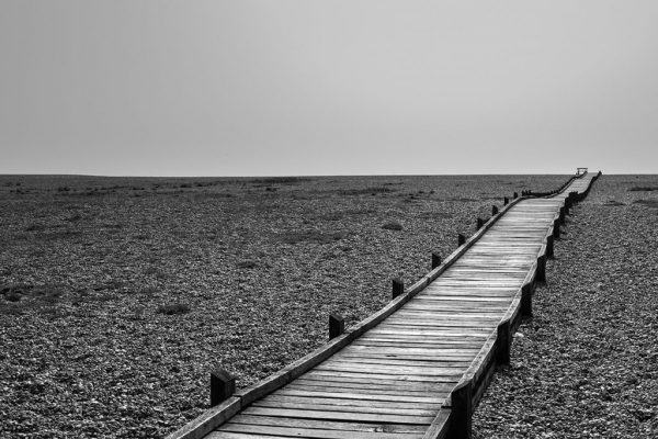 Nicky Higgens - Highly Commended