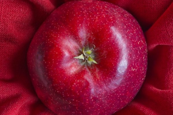 Ann Gardiner - Highly Commended