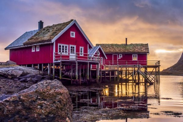 Paul Bullock - Very Highly Commended