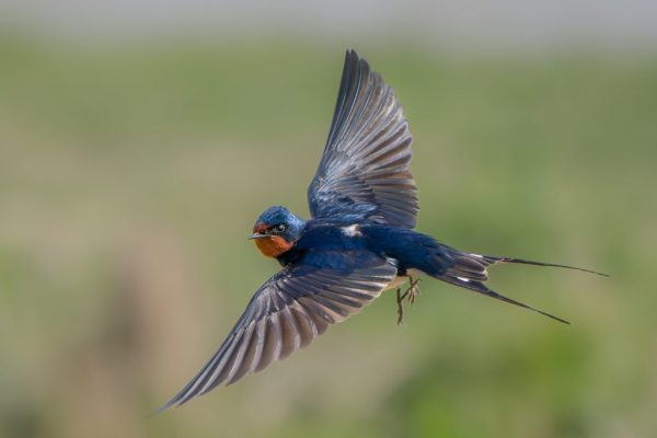 Maggie Bullock - Highly Commended