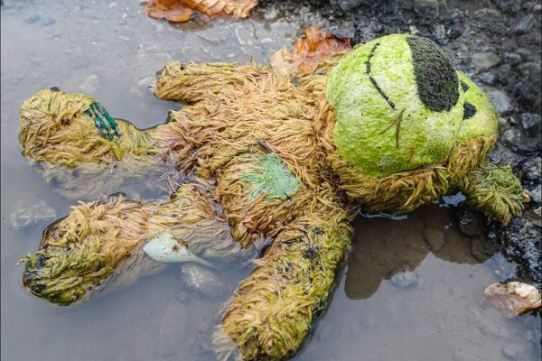 Marie Aldridge - Very Highly Commended