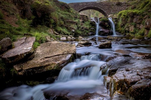 Nicky Higgens - Very Highly Commended